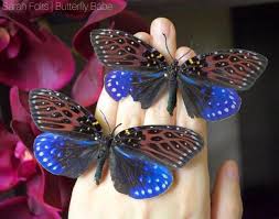 Attēlu rezultāti vaicājumam “Zygaenidae”