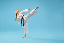 Image result for COMBAT TAEKWONDO