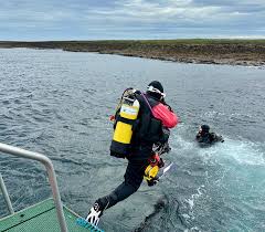 Image result for Reading Bsac