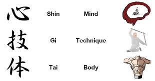Image result for Ji Shin Do Karate