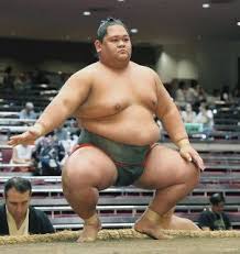 小羽　貝谷에 대한 이미지 검색결과