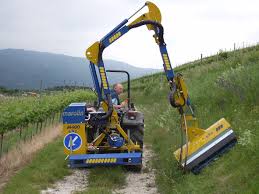 Image result for marolin tehron