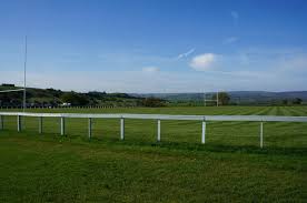 Image result for Newsome Panthers J A R L F C