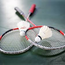 Image result for Haydock Hunters Speedminton Club