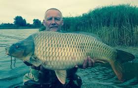 Image result for Lamb Angling Club