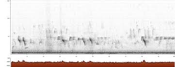 Image result for Hesperiphona vespertina