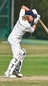 Image result for Shillingstone Cricket Club