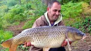 Image result for Cobham Court Angling Club