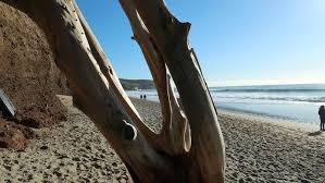Image result for Praa Sands Smbc