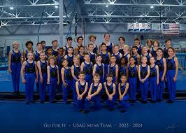 Image result for Goring Gymnastics Club
