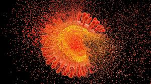 Image result for фотография вируса вич