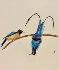 Image result for Kingfisher Twirling Team