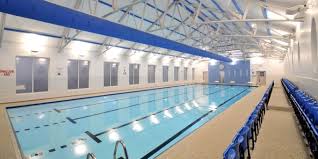 Image result for Harrogate Swimming Club