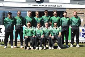Image result for Three Bridges Cricket Club