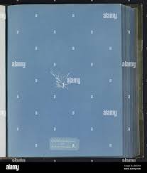 Attēlu rezultāti vaicājumam “Chaetophora pisiformis”