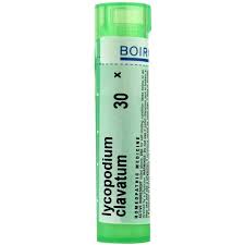 Attēlu rezultāti vaicājumam “Lycopodium clavatum”