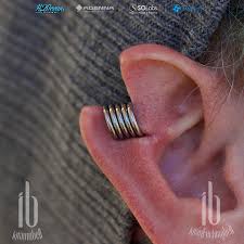 Image result for ear mod
