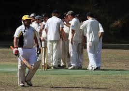 Image result for Blackwood Town Cricket Club