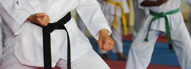 Image result for Brighton Judo Club