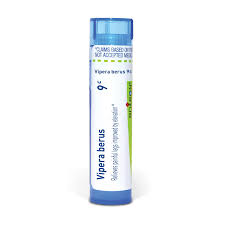 Attēlu rezultāti vaicājumam “Vipera berus”