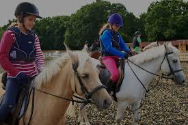 Image result for Kings Ranch Riding School/Club