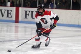 Image result for Demons Skater Hockey Club