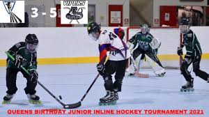 Image result for Vipers Roller Hockey Team