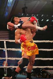 Image result for Southgate T`ai Tsung Chinese Boxing