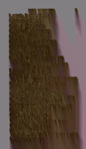 Attēlu rezultāti vaicājumam “Oligonema affine”