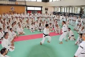 Image result for Winchester Shorinji Kempo Club