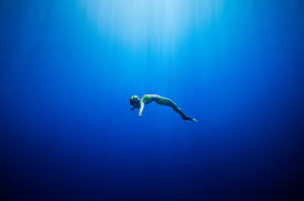Image result for Deep Blue Diving