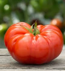 Afbeeldingsresultaat voor kosmonaut volkov 68D tomato