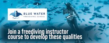 Image result for Blue Water Freediving School