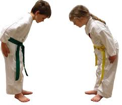 Image result for Uechi-Ryu Karate Do, Hedge End