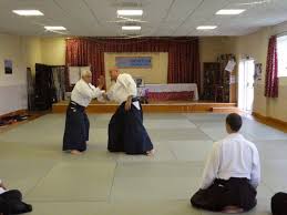 Image result for Aikido - Shobu UK