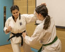 Image result for Abbey Shorinji Kempo Dojo