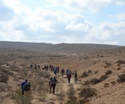 Image result for Ancaster Scrabble Club