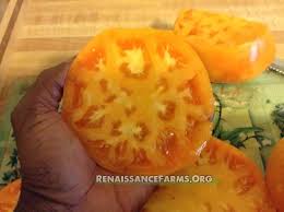 Afbeeldingsresultaat voor amana orange beefsteak tomato