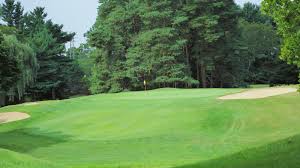 Image result for Flint Golf Club