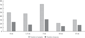 Attēlu rezultāti vaicājumam “Trichia longipalpis”