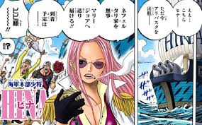「ヒナ ONE PIECE」の画像検索結果