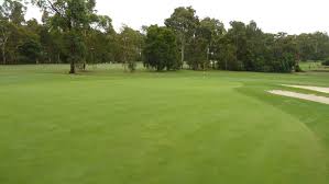 Image result for Avondale Gc