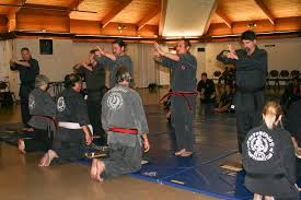 Image result for Kenpo Karate Club
