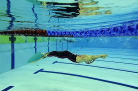 Image result for Swansea Finswimming Club