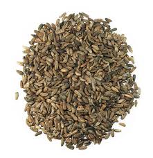 Attēlu rezultāti vaicājumam “Arctium lappa fruit”