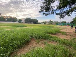 Image result for Temple Cloud Cricket Club