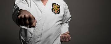 Image result for ZOKU SHOTOKAN KARATE (Baldock)