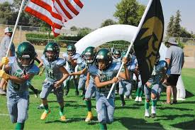 Image result for Hedingham Hawks Youth Football Club