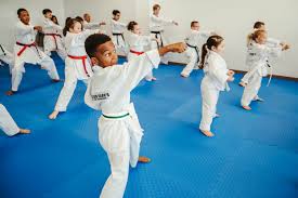 Image result for Parkgate Taekwondo Club