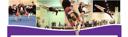 Image result for Sutton Gymnastics Academy